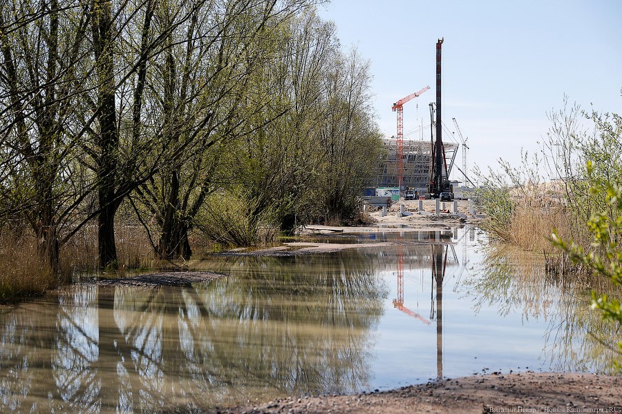 В Калининграде затопило гаражное общество на Острове около стадиона (фото)