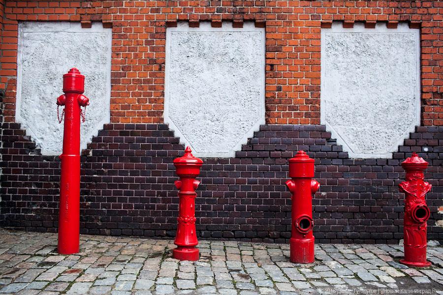 Кёнигсберг в Калининграде: как проходят «народные» экскурсии по улицам города