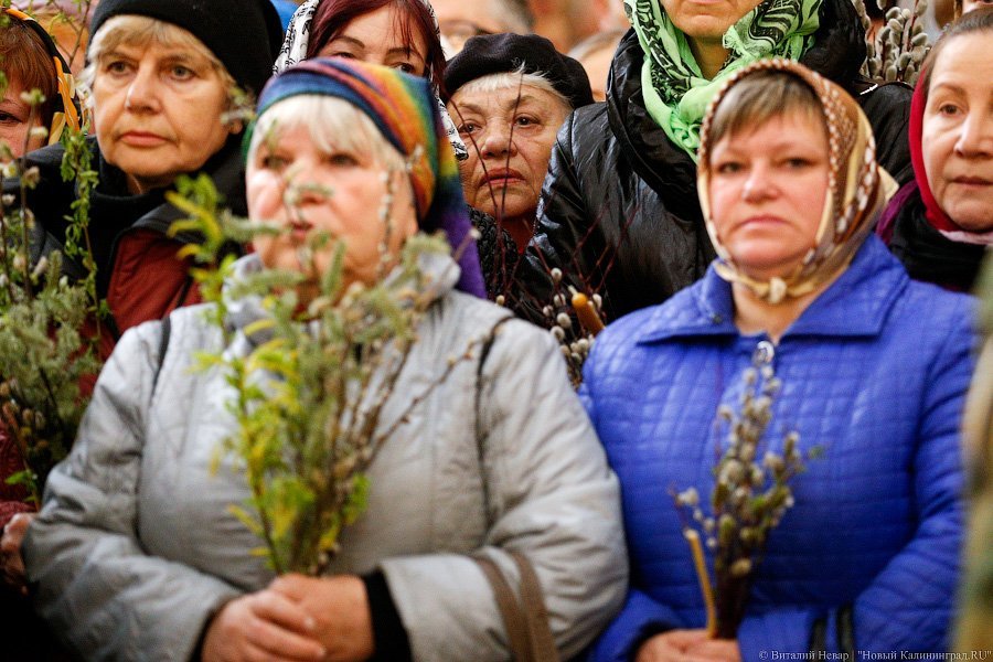 «Цветики да вербочки»: как прошло богослужение в Вербное воскресенье (фото)