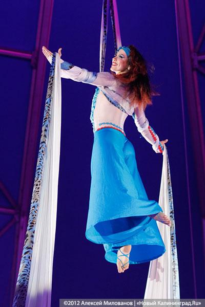 «Цирк в подарок»: фоторепортаж c премьеры цирковой программы