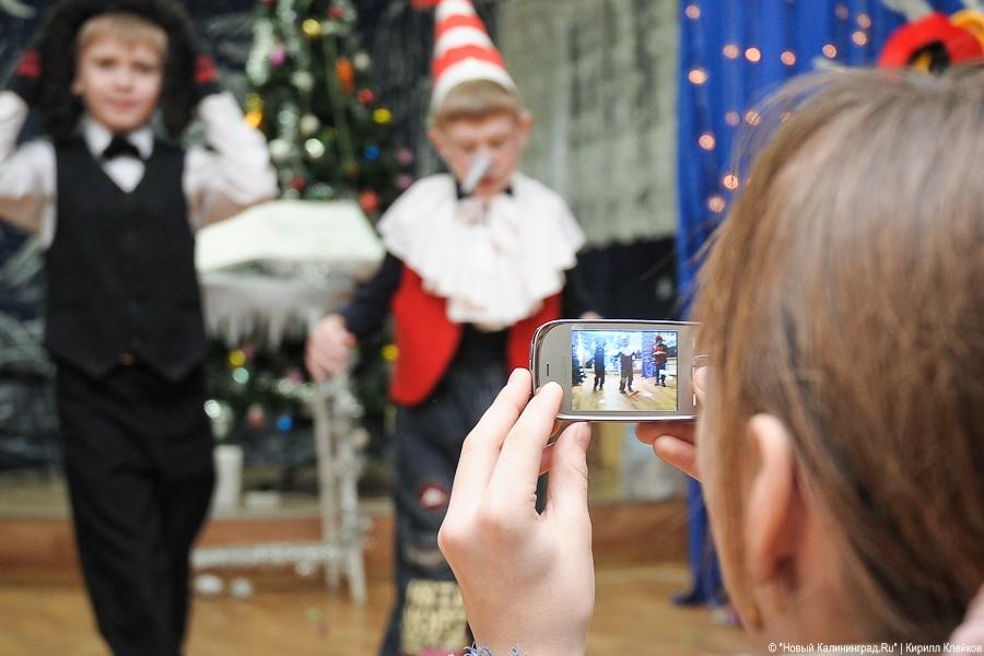 "Елка чудес": фоторепортаж "Нового Калининграда.Ru"
