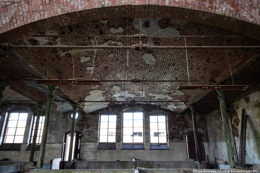 След Розенау: как выглядит заброшенный мясокомбинат на Аллее Смелых (фото)