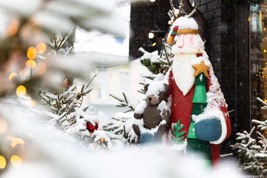 К Новому году в Калининградской области ожидается зимняя погода и снег