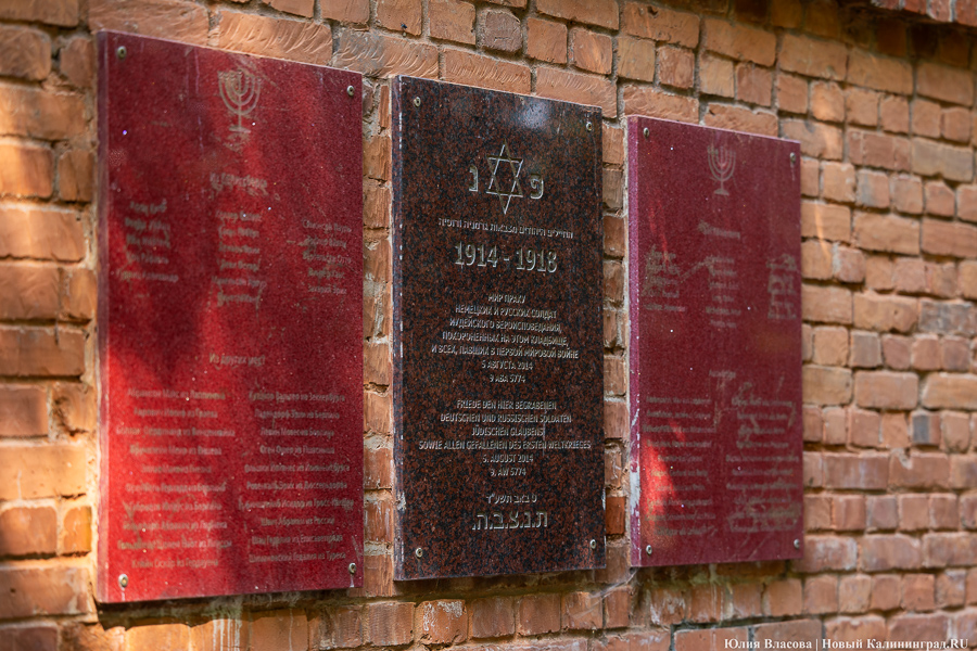 «Золотое место»: на территории еврейского кладбища планируют обустроить мемориальный парк   ﻿