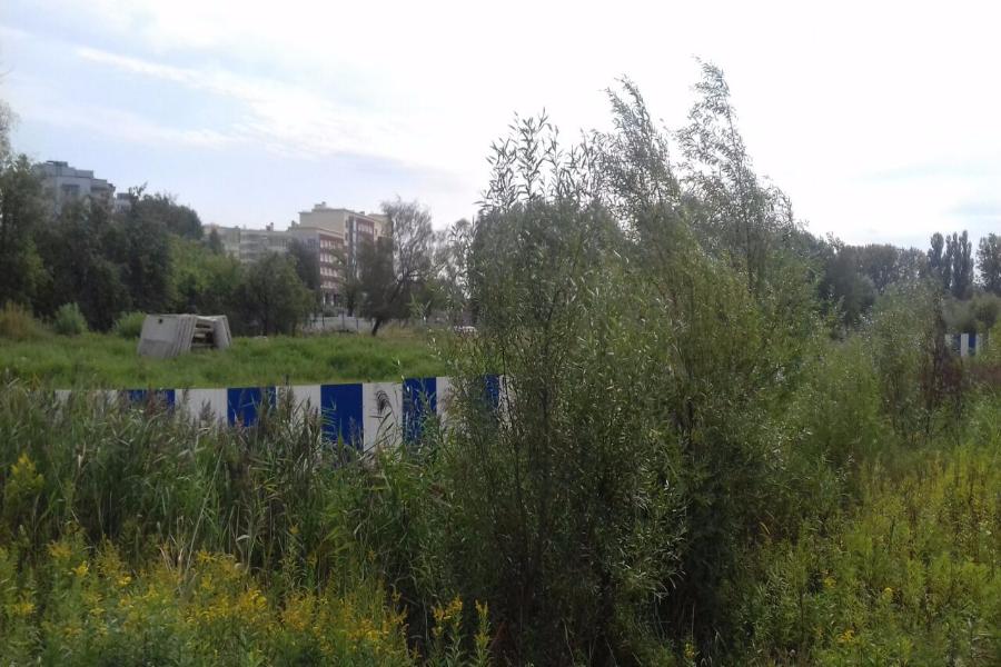 Фото - Станислав Пахотин, «Новый Калининград.Ru»