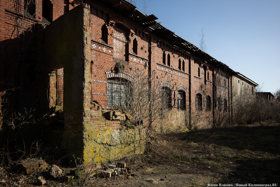 След Розенау: как выглядит заброшенный мясокомбинат на Аллее Смелых (фото)