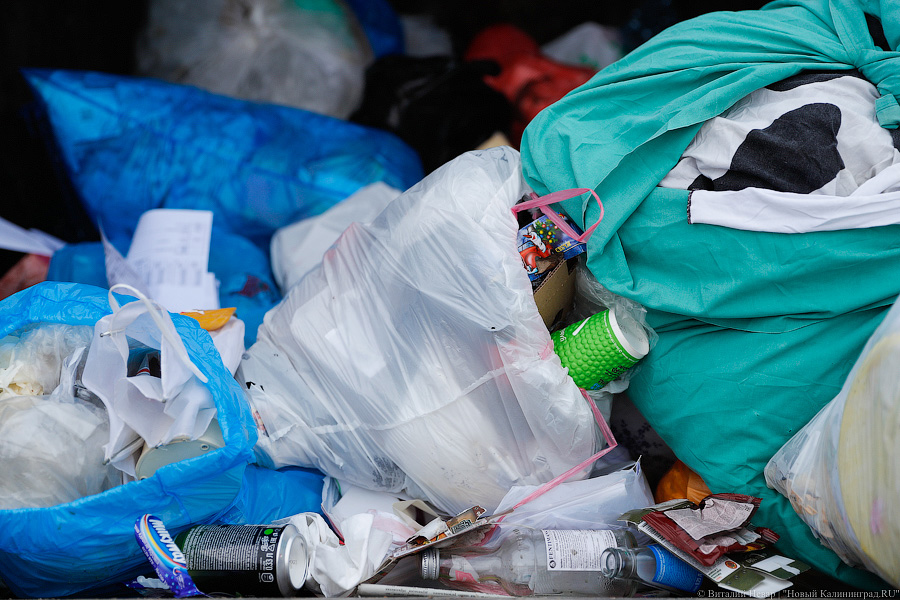 Мэрия: калининградцы стали есть больше фаст-фуда, поэтому мусора на улицах больше