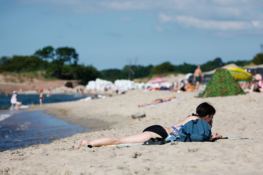 Пляж в Заливном и визит-центр в Дёнхоффе: какие туристические проекты разделят грантовые 37,65 млн рублей