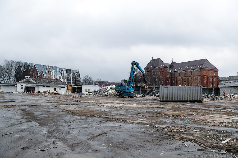 Фото — Виталий Невар, «Новый Калининград»