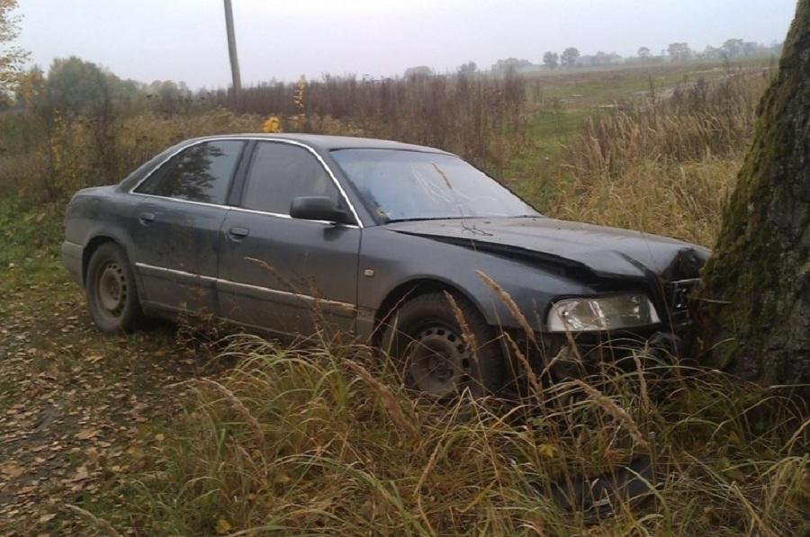 В Черняховском районе «Форд» врезался в дерево, водитель погиб (фото)
