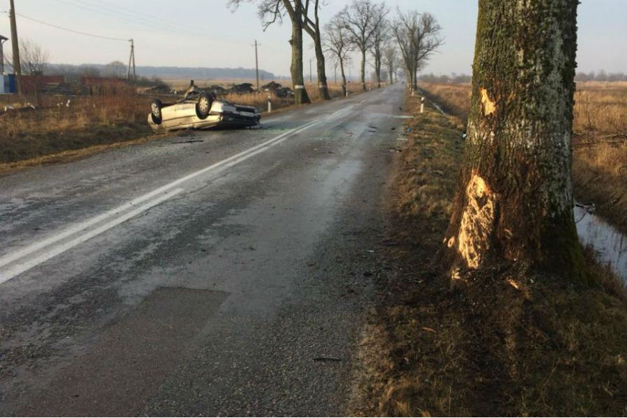 Под Гурьевском «Пежо» врезался в дерево, перевернулся и вылетел в кювет (фото)