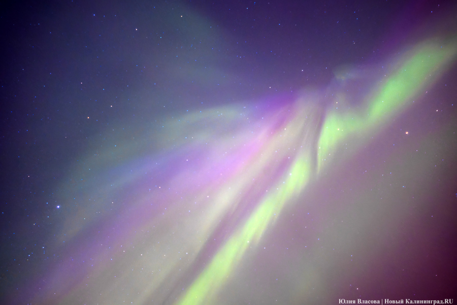 Дар Солнца: северное сияние над Калининградской областью (фото)