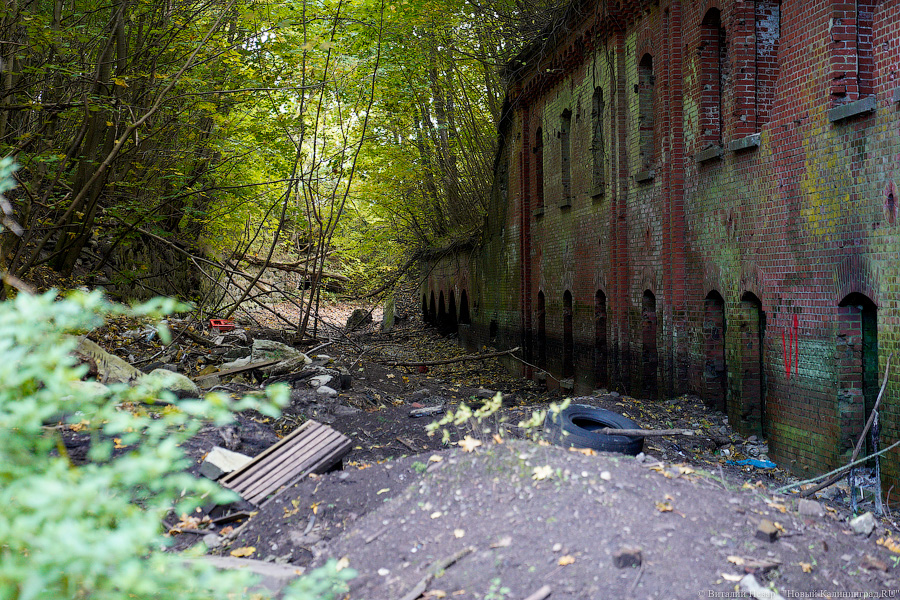 Арендатор форта №8: мы оставим его разрушенным (фото)