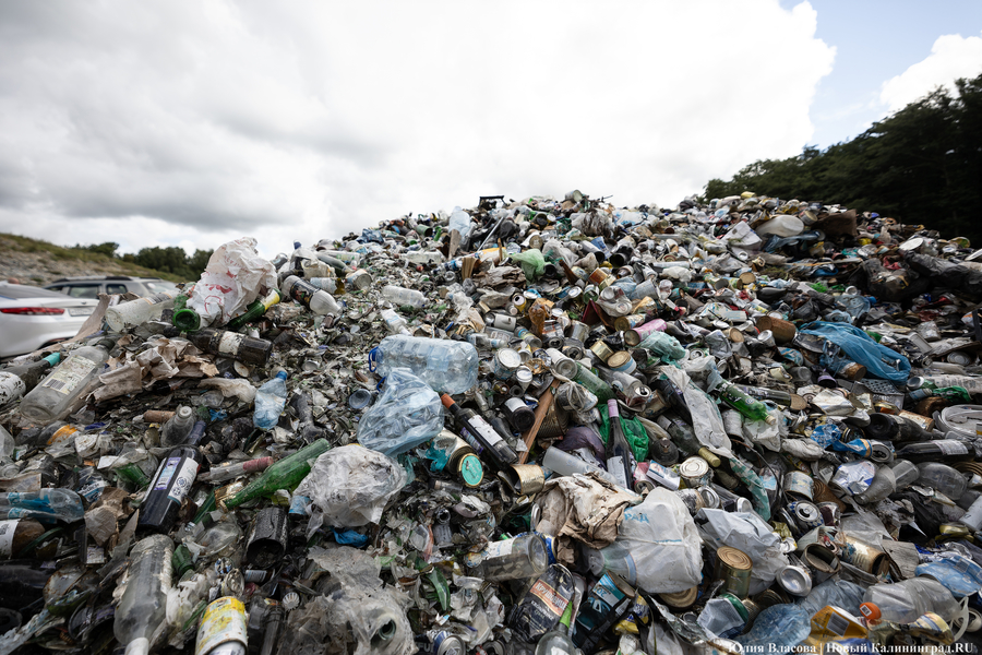 «Стихией управлять не научились»: как глава Минприроды РФ понюхал воздух в Круглово (фото)