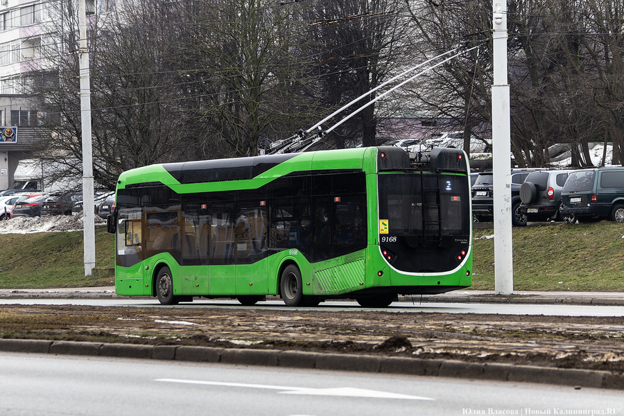 В мэрии сообщили, что водители «Калининград-ГорТранса» получают 120 тысяч рублей