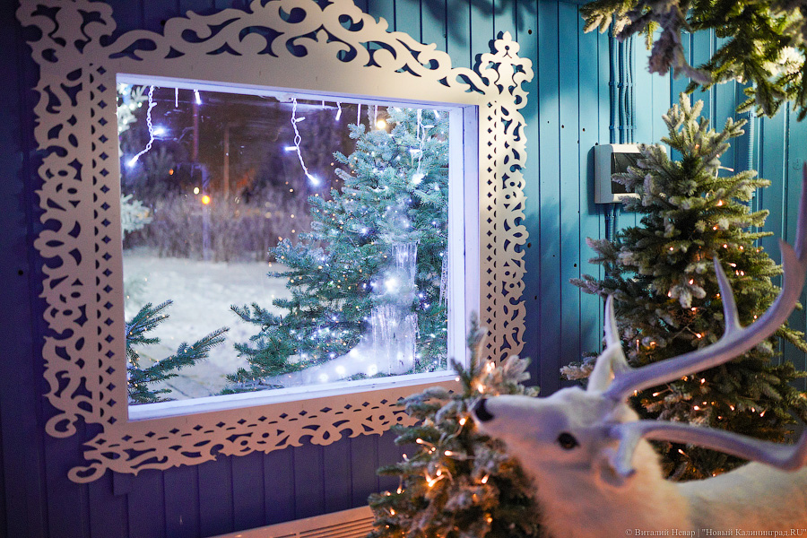 Свая Эдик вместо Снегурочки: у стадиона «Калининград» появился Домик Деда Мороза (фото)