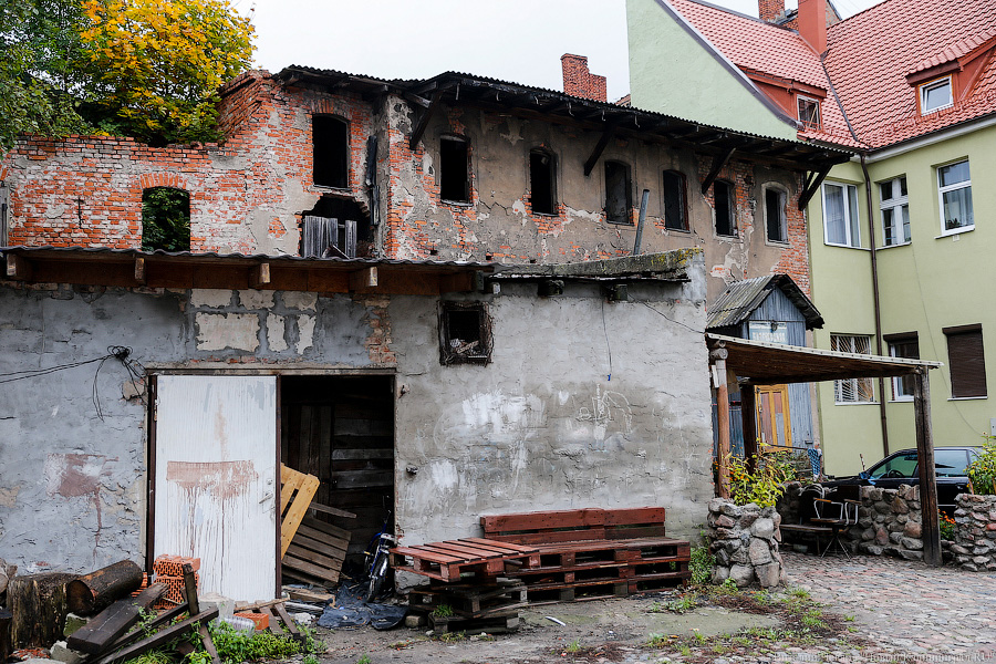 Фото — Виталий Невар, «Новый Калининград.Ru»
