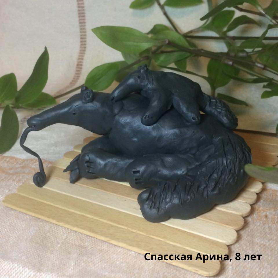 Калининградский зоопарк предложил детям слепить муравьеда. Вот что у них получилось (фото)