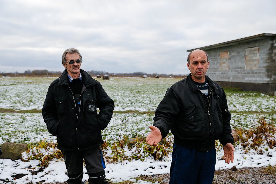 ЛЭП над головой: через дом многодетной семьи ведут электричество в «Храброво»