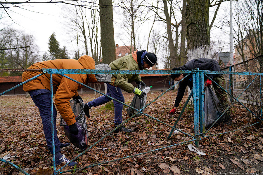 Теория целых окон: волонтеры пытаются спасти здание на Расковой с помощью уборки (фото)
