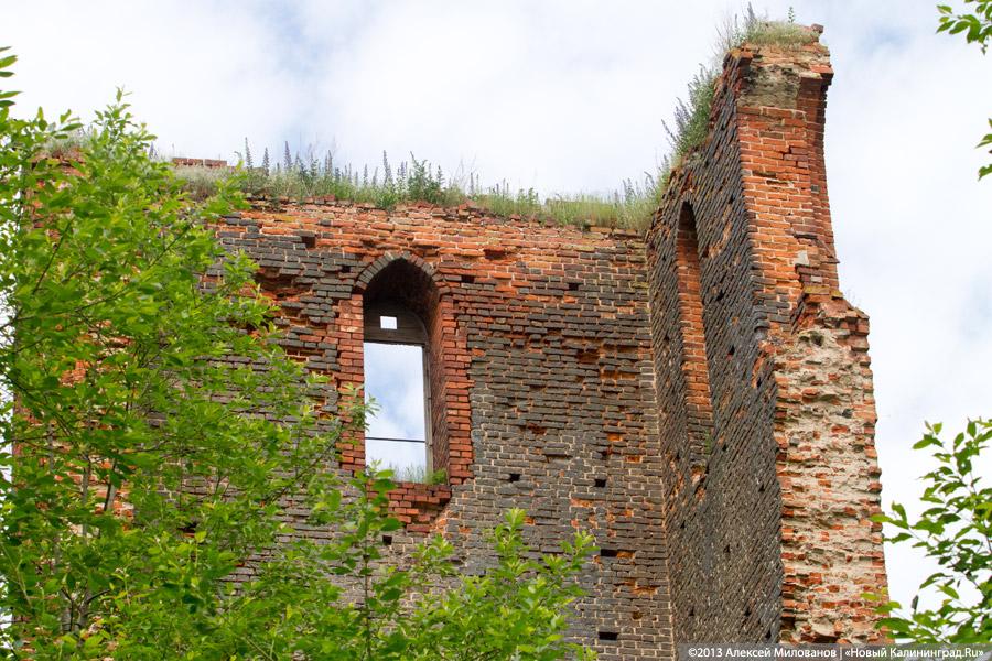 Черепки и воронки: «черные копатели» регулярно разграбляют руины кирхи в Корнево