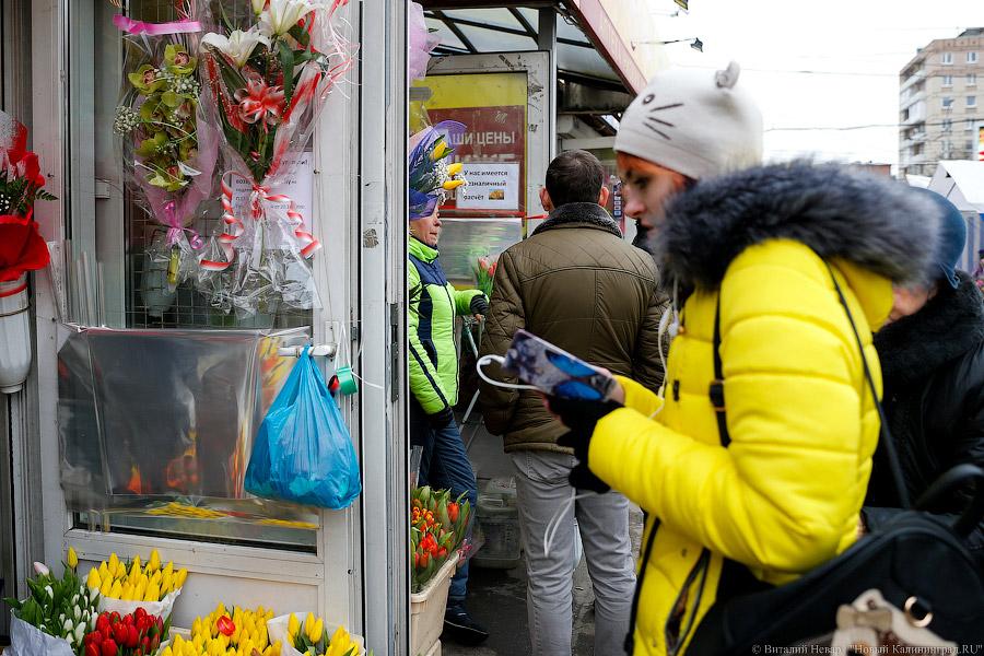 Кругом Голландия: сколько стоят цветы в центре Калининграда