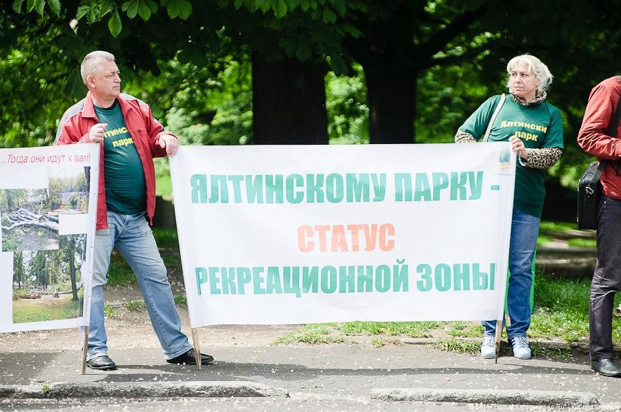 «Вялый зеленый протест»: фоторепортаж «Нового Калининграда.Ru»