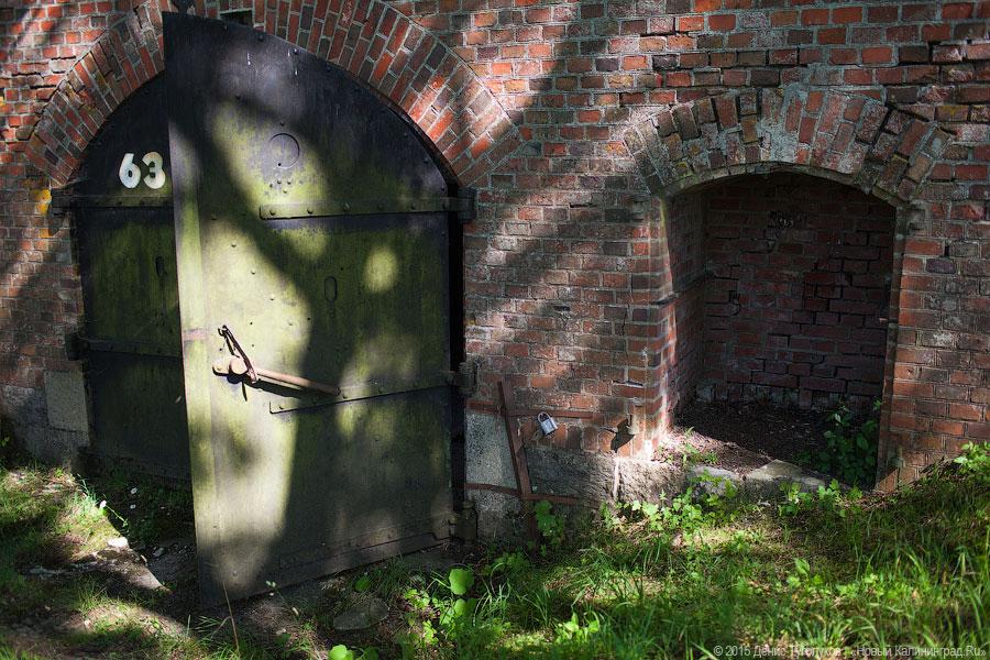 С легендами и зоопарком: форт Дёнхофф под Калининградом открылся для туристов