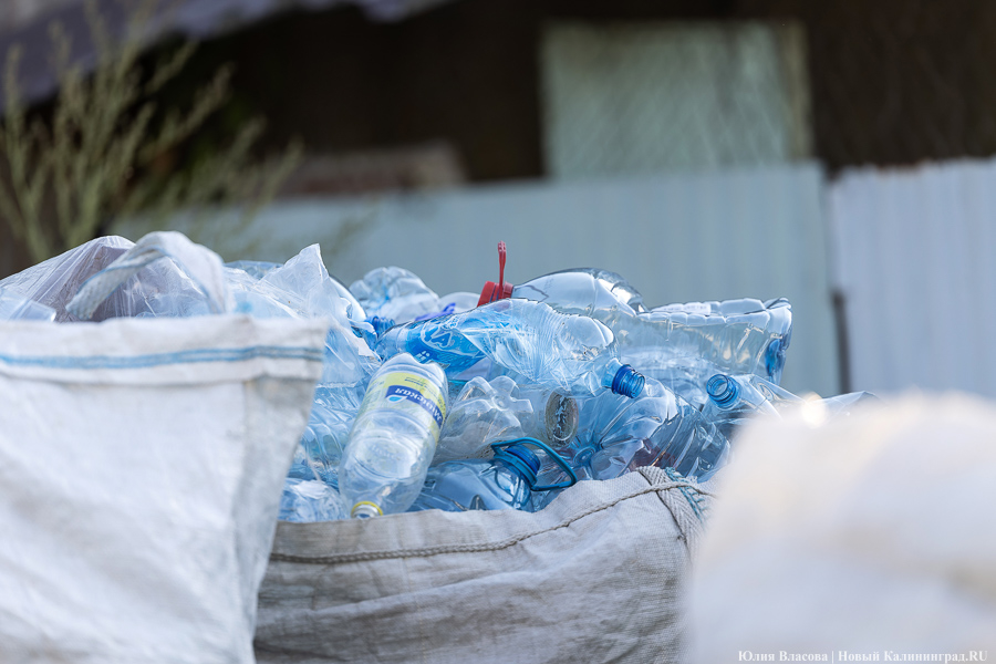 Фото: Виталий Невар / Новый Калининград 