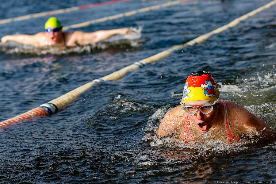 Время моржей: в  Калининграде прошли соревнования по зимнему плаванию (фото)