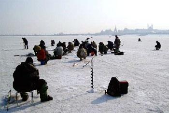 В Калининградском заливе на льдине унесло более 30 рыбаков