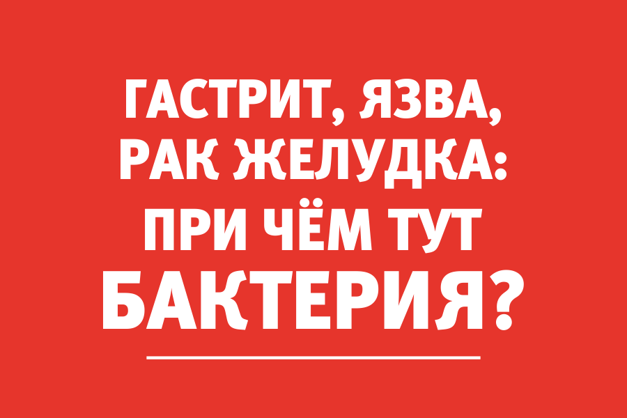 Гастроэнтеролог: «Эта бактерия — одна из причин гастрита, язвы, рака желудка»