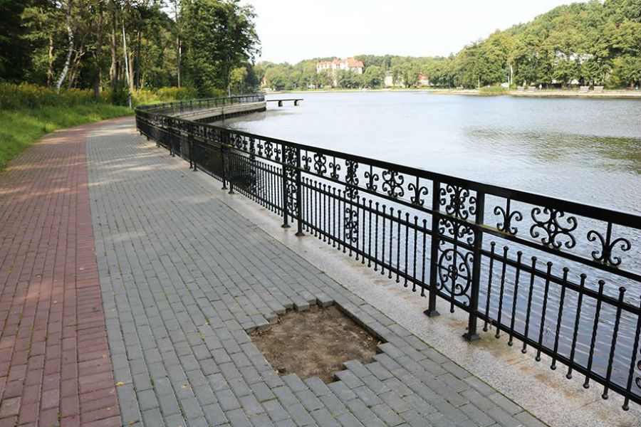 Фото — Дмитрий Киселев