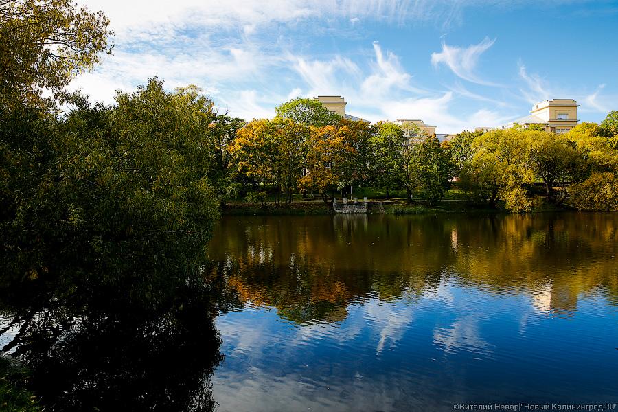 1 октября: осень в Калининграде
