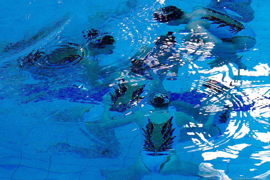 В Калининграде проходит Кубок России по синхронному плаванию. Вот как это выглядит (фото)