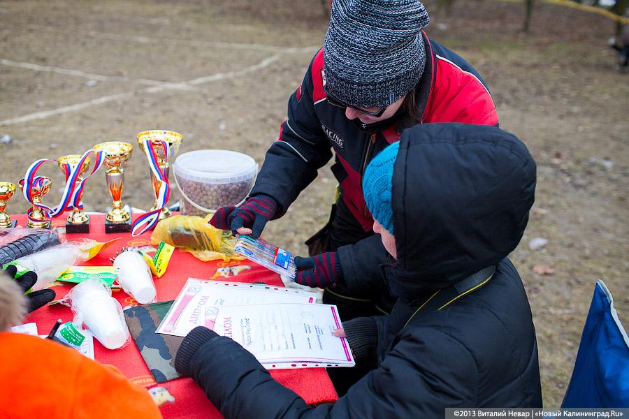 «Зубастые ловцы»: фоторепортаж с соревнований по дог-фрисби