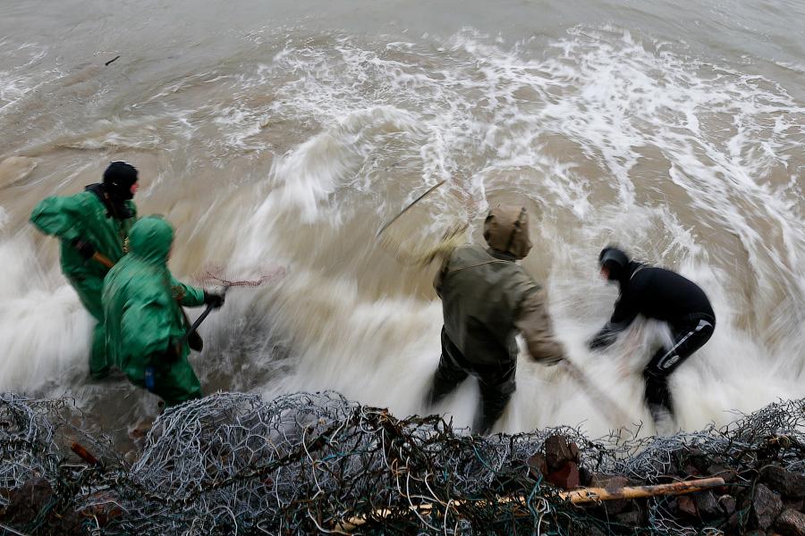 В набежавшую волну: как ловят янтарь на Балтике (фото)