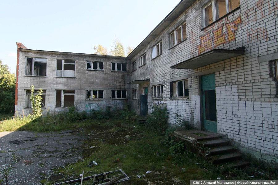 «Куда ушли детские сады»: фоторепортаж «Нового Калининграда.Ru»