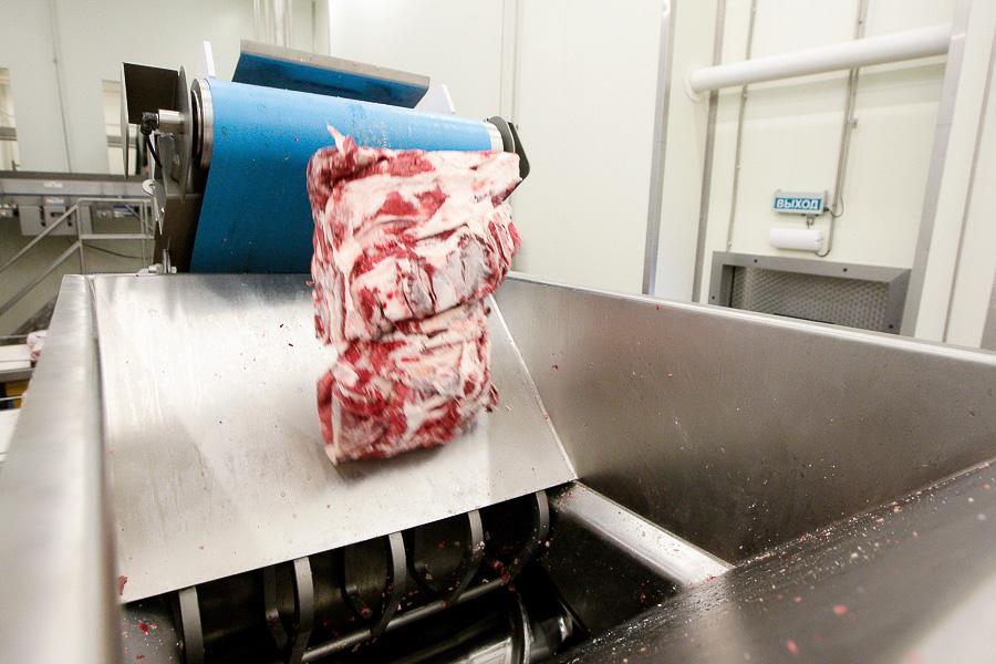 Как делают котлеты для «Макдоналдса»: вторая жизнь горевшей «Конкордии» 