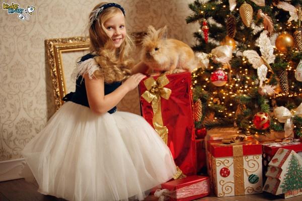 Создайте новогоднюю сказку вашей семьи в фотостудии KinderKinder