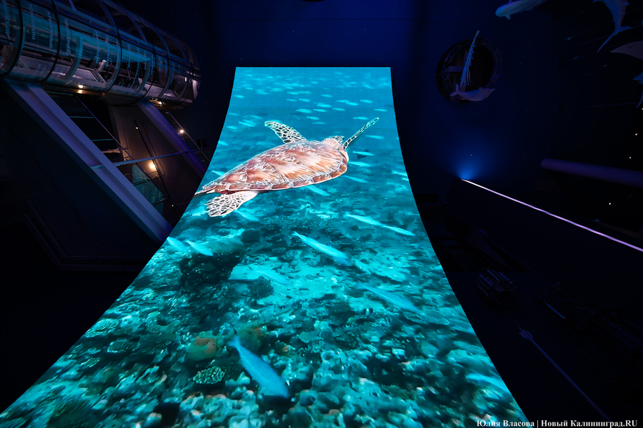 Музей-корабль, музей-планета: экскурсия по корпусу-шару «Планета Океан»