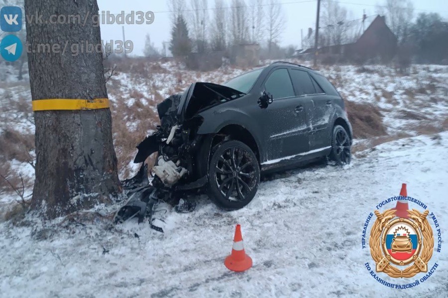 В Нестеровском р-не автомобиль врезался в дерево, погибли водитель и пассажир