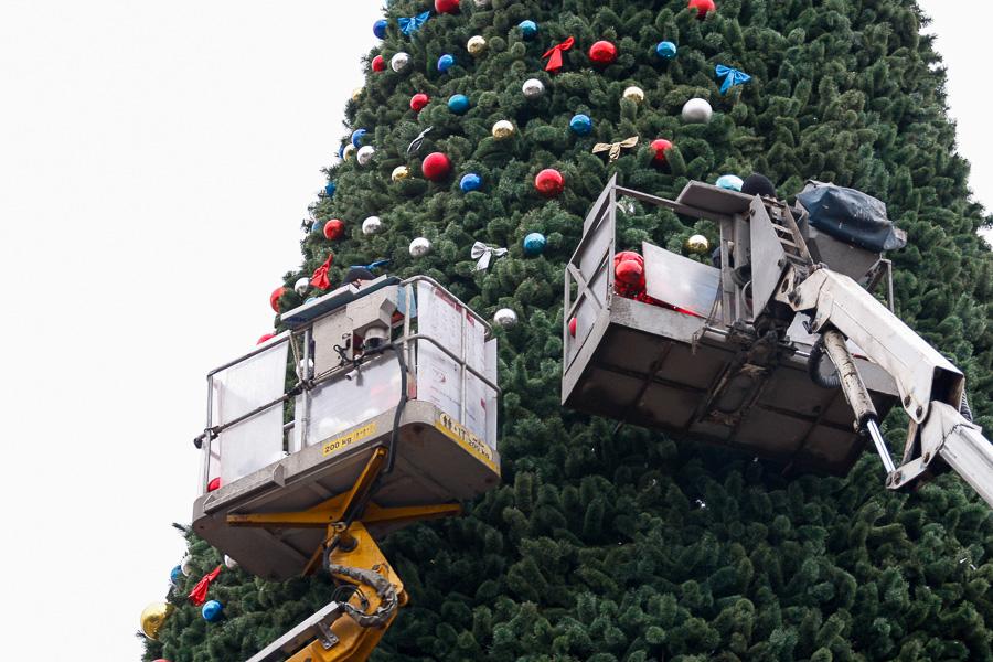 От каркаса до игрушки: в Калининграде собрали главную городскую елку