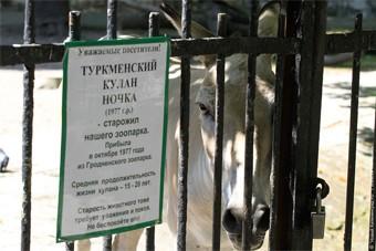 Окрсовет попросил губернатора и министра культуры РФ забрать зоопарк