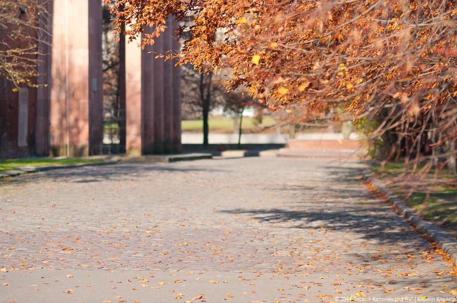 "11.11.11": фоторепортаж "Нового Калининграда.Ru"