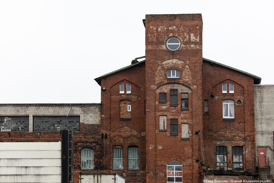 Постапокалиптический пейзаж: что происходит с территорией бывшего ЦБЗ-1 (фото)