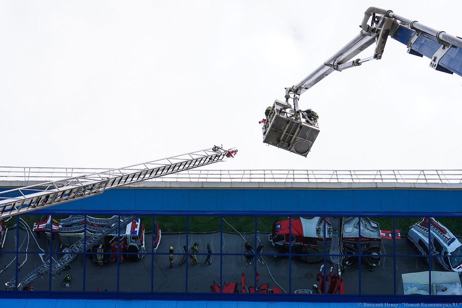 «Сложная архитектура»: как пожарные тренируются перед ЧМ-2022 по волейболу (фото)