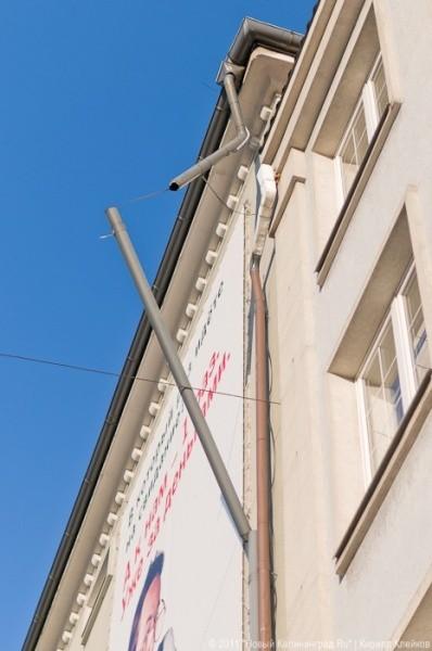 «А поутру они проснулись»: фоторепортаж «Нового Калининграда.Ru»