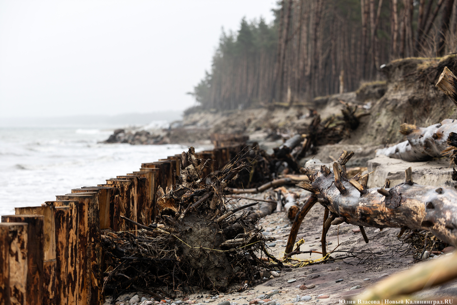 12 февраля: пострадавший от шторма берег в Куликово