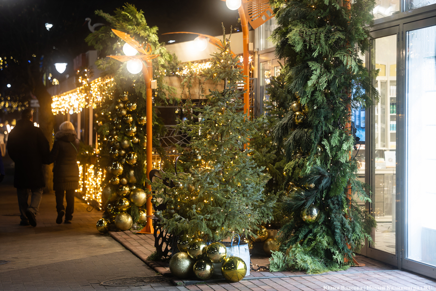 30 километров гирлянд: как украсили к Новому году Светлогорск (фото)